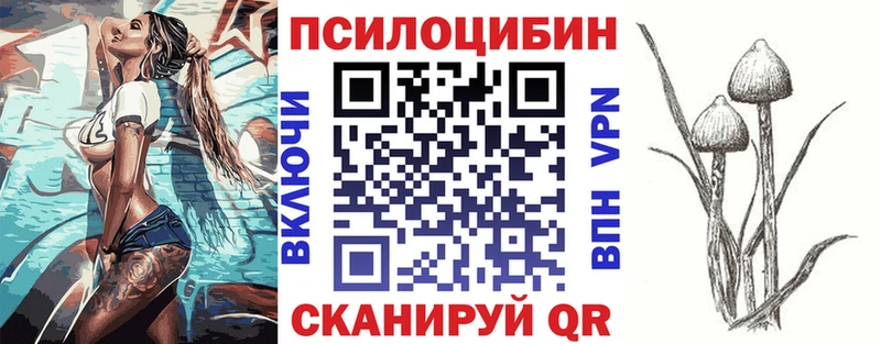 Купить закладки  Пустошка  Псилоцибиновые грибы мухоморы 